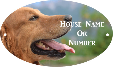 High quality full colour printed  oval house  plaque showing working retriever's head with custom house details