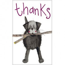 Thank You notelets. Black Labrador Retriever Dog. Pack of five. Coloured envelopes